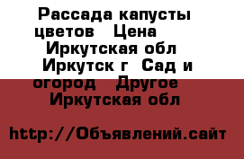 Рассада капусты, цветов › Цена ­ 15 - Иркутская обл., Иркутск г. Сад и огород » Другое   . Иркутская обл.